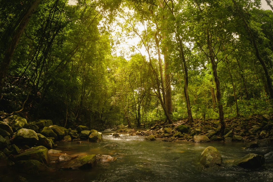 Simlipal National Park